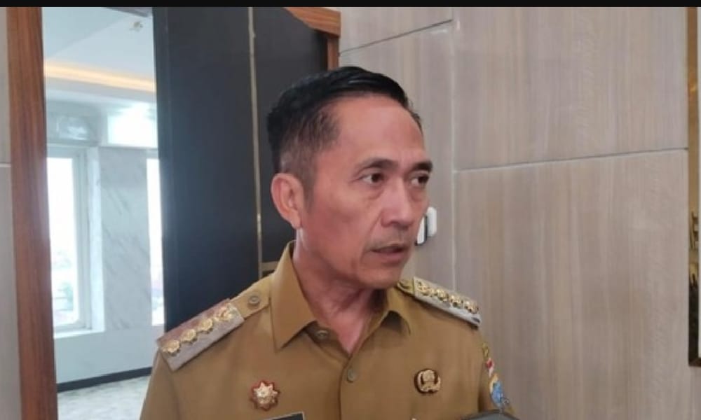 Ratu Dewa Minta Pegawai yang Tak Lolos PPPK untuk Menunggu Juknis Paruh Waktu