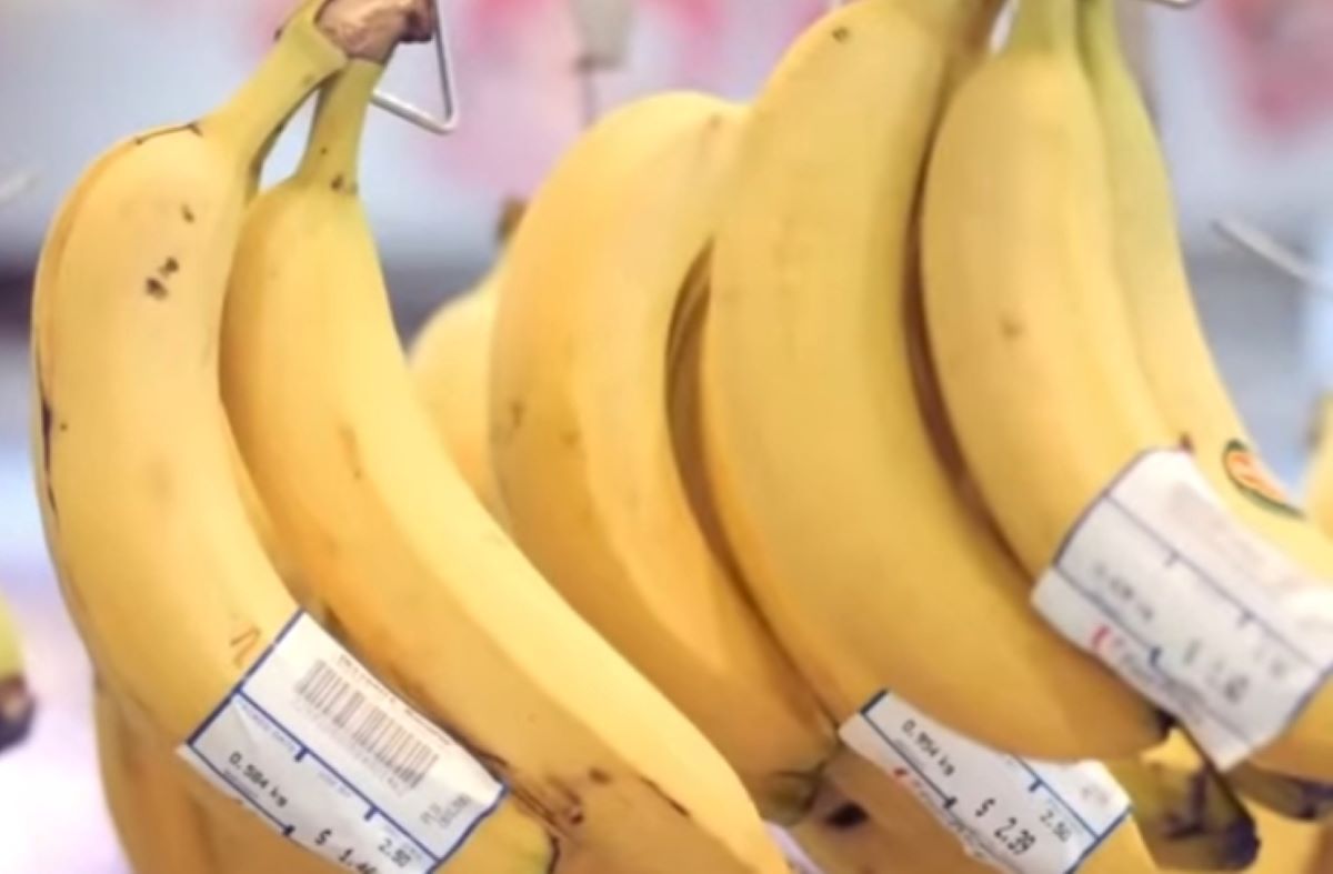 Buah-Buahan Favorit Anak-Anak, Lezat dan Sehat untuk Tumbuh Kembang