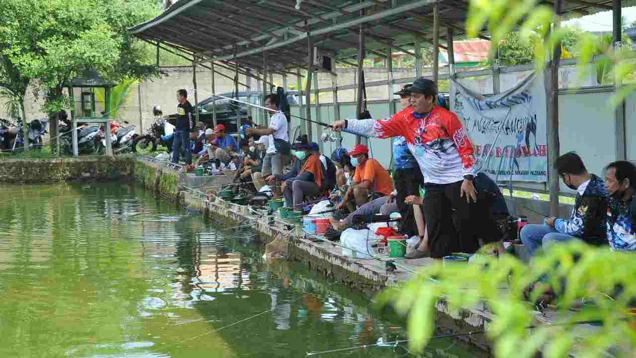 Jangan Salah Umpan! Ini Cara Ampuh Mancing Patin di Kolam Biar Strike Terus
