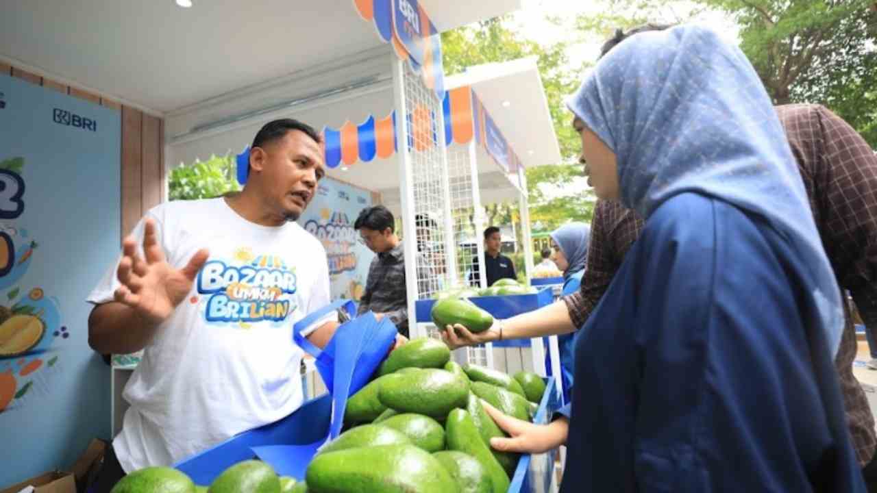 Berkat BRI Klasterku Hidupku, Petani Ini Berhasil Kembangkan Budidaya Alpukat