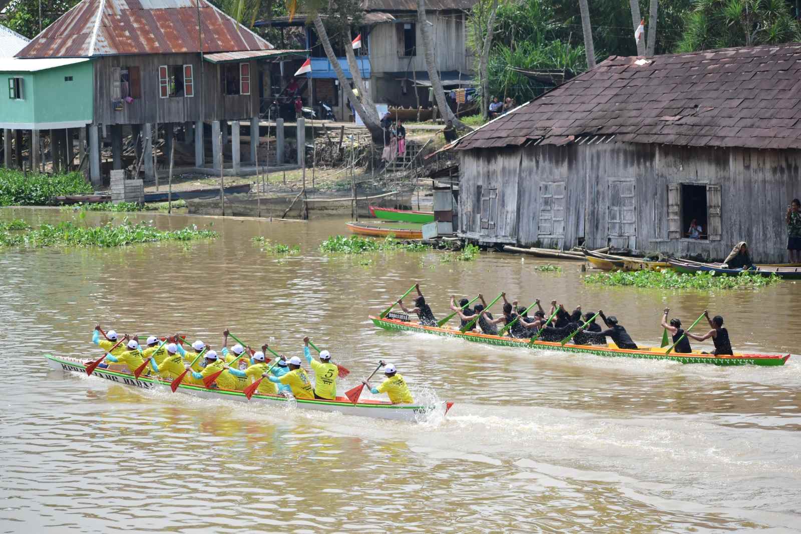 Serunya Lomba Kebut Perahu di Sungai Babatan, Pemenang Dapat Hadiah Sapi dan Kerbau