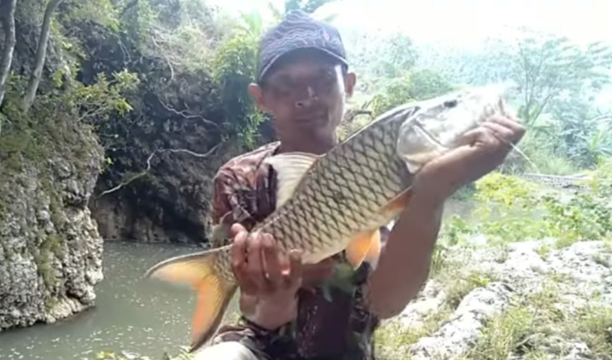 5 Jenis Umpan Paling Jitu Untuk Mancing Ikan Hampala, Nomor 4 Bentuknya Lembut dan Kenyal