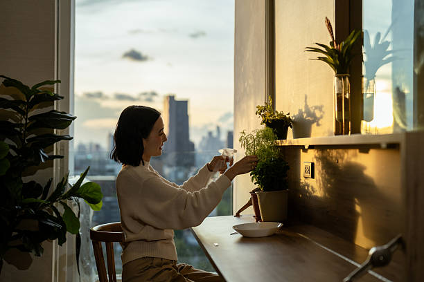 9 Rahasia Tanaman Indoor Tetap Subur Meski Minim Cahaya Matahari