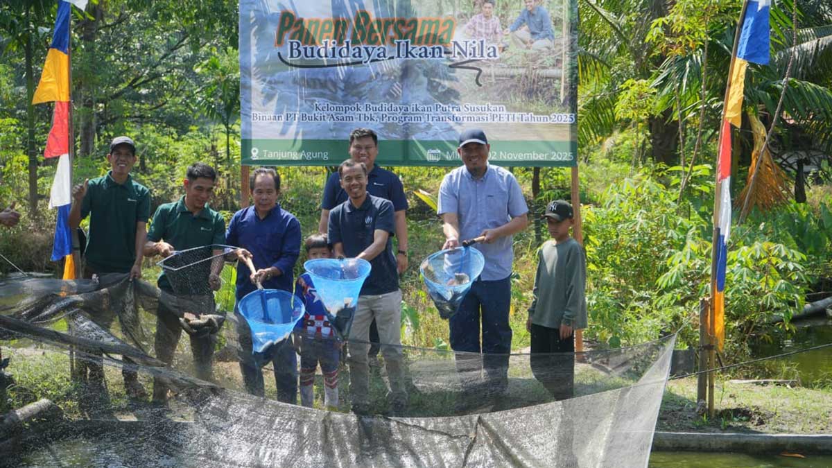 PTBA Dorong Transformasi Ekonomi Pascatambang Lewat Program Budidaya Ikan Nila di Tanjung Agung