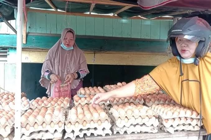 Pasokan Kurang, Harga Telur Naik, Ini Permintaan Ibu-Ibu di Empat Lawang