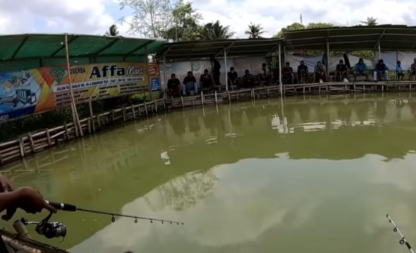 SIMAK! Berikut 3 Jenis Umpan Alami Untuk Mancing Ikan Lele