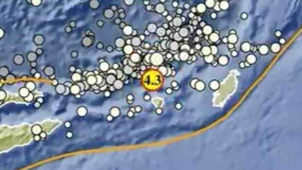 Gempa Magnitudo 4,3 Guncang Maluku Tenggara Barat Pagi Ini, Tak Berpotensi Tsunami