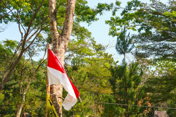 JANGAN MELANGGAR! Ini 5 Larangan Dalam Pemasangan Bendera Merah Putih HUT ke-80 RI