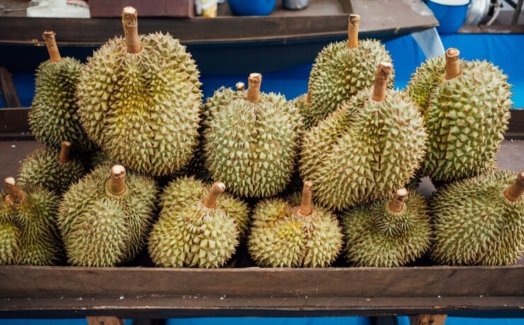6 Tempat Penghasil Durian Terbanyak di Indonesia! Banyak Durian Dipanen di Daerah Ini Lho