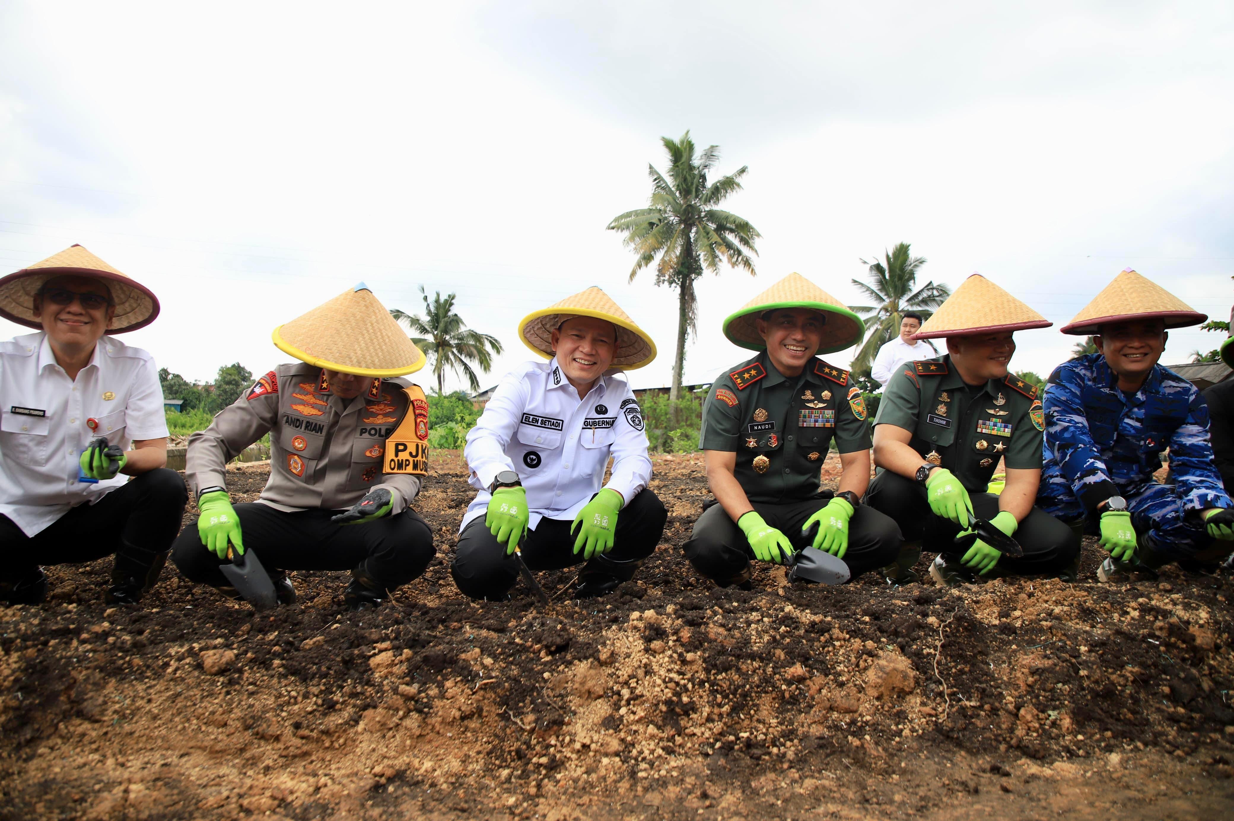 Pemprov Sumsel Terus Dorong Program Percepatan Ketahanan Pangan 