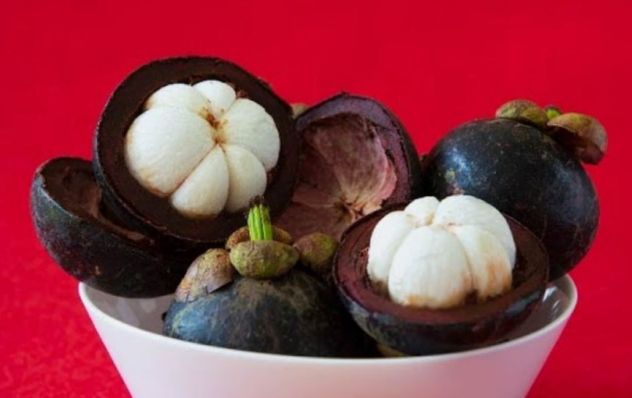 Dahsyat! Ternyata Ini loh 5 Manfaat Kulit Manggis Untuk Kesehatan