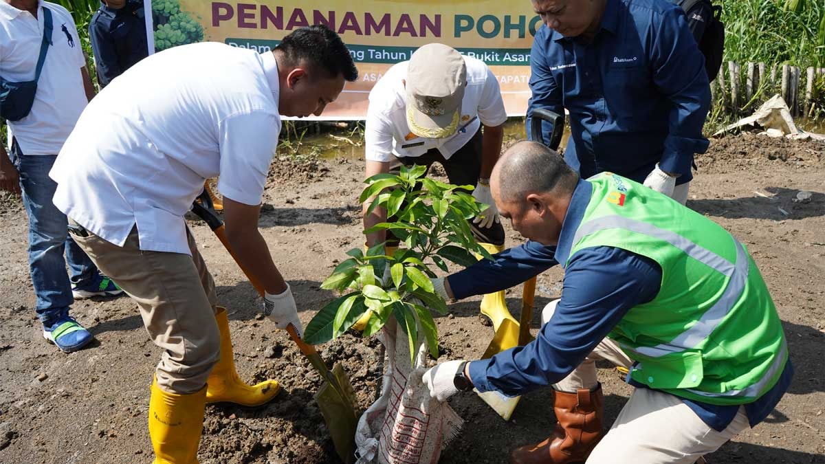 Sinergi Bukit Asam dan Masyarakat, Hijaukan Lingkungan Lewat Aksi Penanaman Pohon!