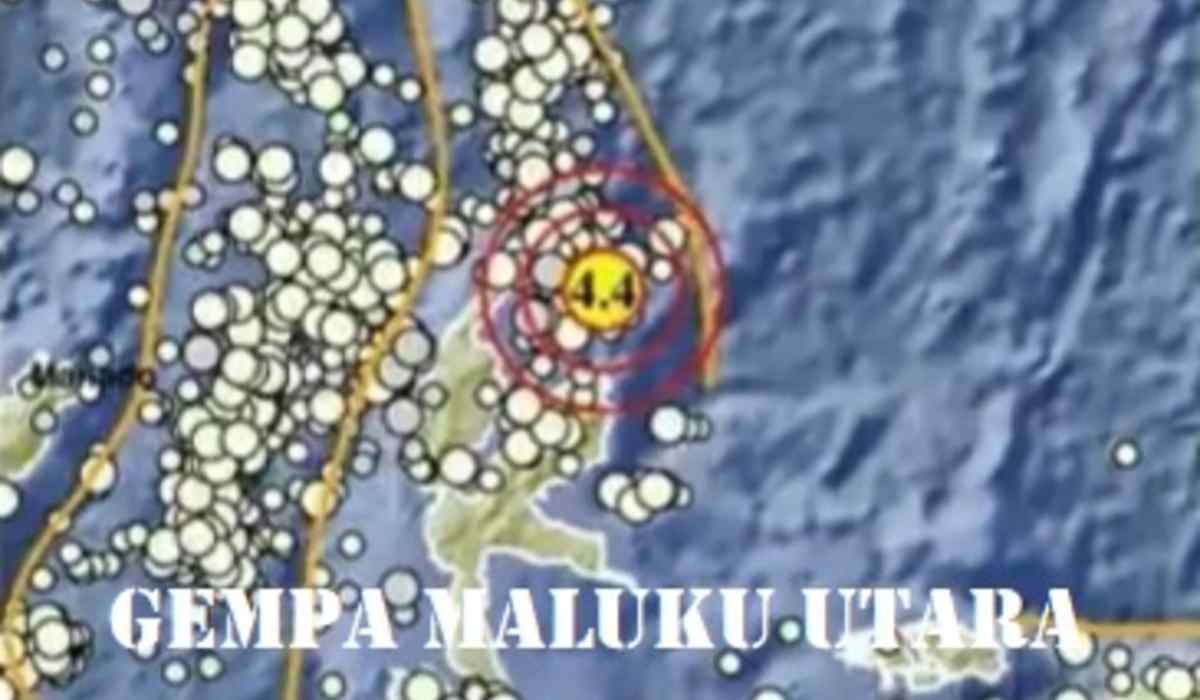Info BMKG, Gempa Guncang Daruba Maluku Utara, Kekuatan Magnitudonya Segini