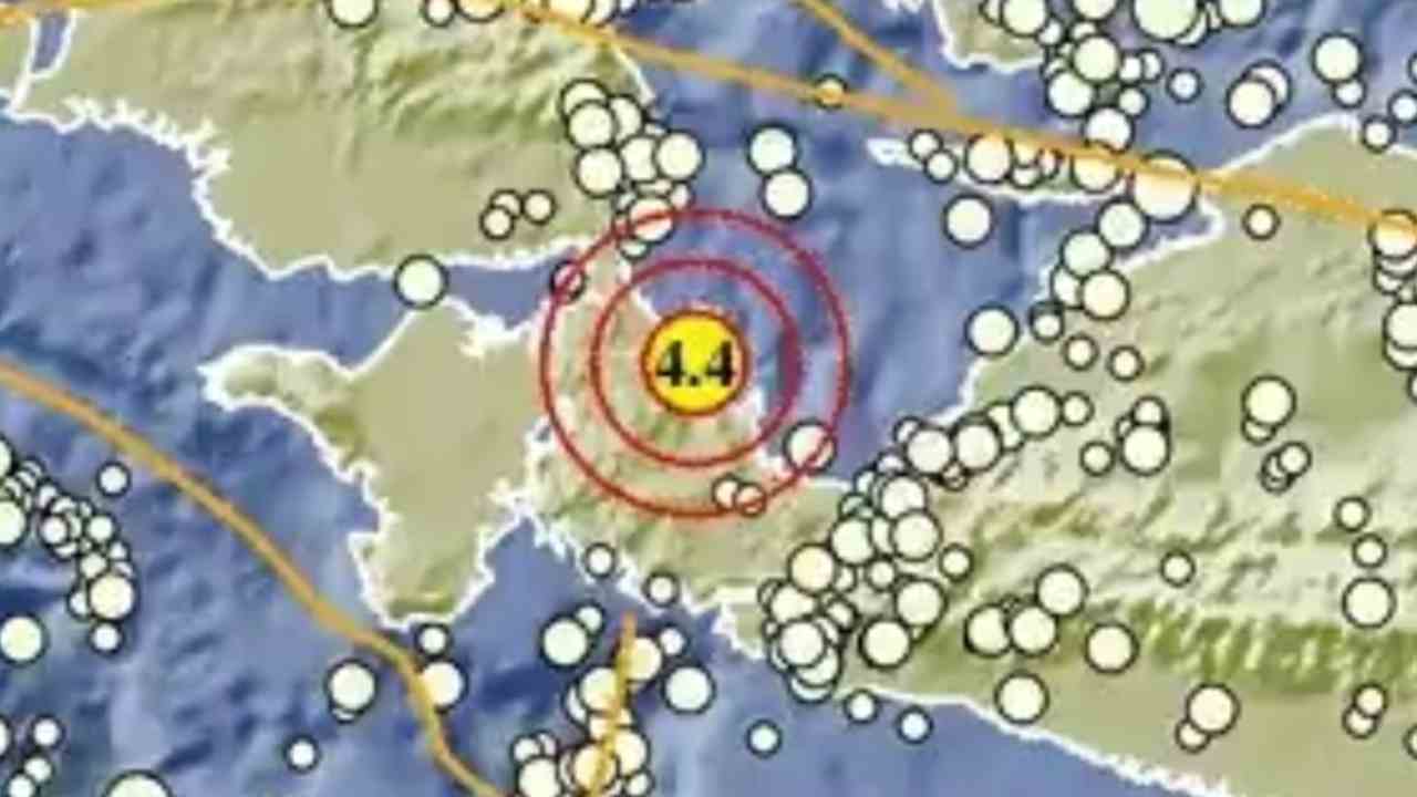 Teluk Wondama Diguncang Gempa Magnitudo 4,4 Pagi Ini, BMKG: Tak Berpotensi Tsunami
