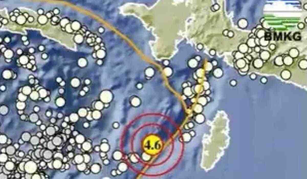 Update BMKG, Pagi Ini Gempa 4.6 M Guncang Maluku Tenggara