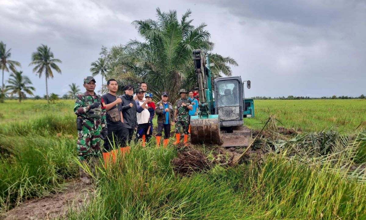 Kodim 0402/OKI - DKPTPH Optimasi Lahan Rawa di Air Sugihan, Ini Tujuannya