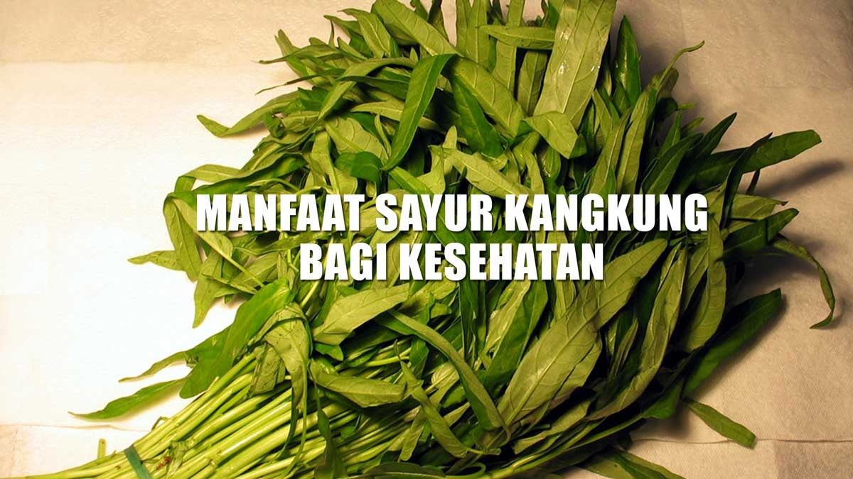 Rasanya Enak dan Harganya Murah, Ini lho 9 Manfaat Kangkung Bagi Kesehatan