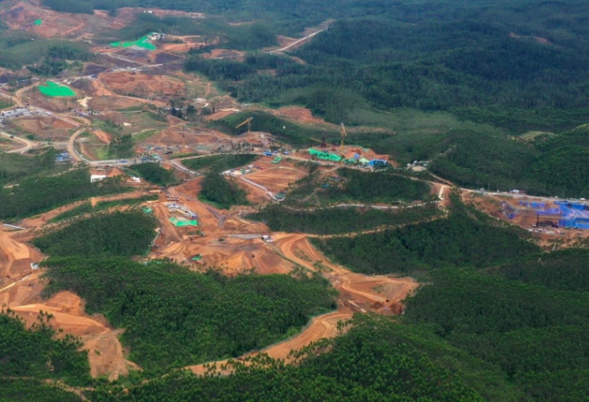Luasnya 252 Ribu Hektare, Pembangunan IKN di Kalimantan Timur Tak Rusak Hutan Alam, Benarkah?