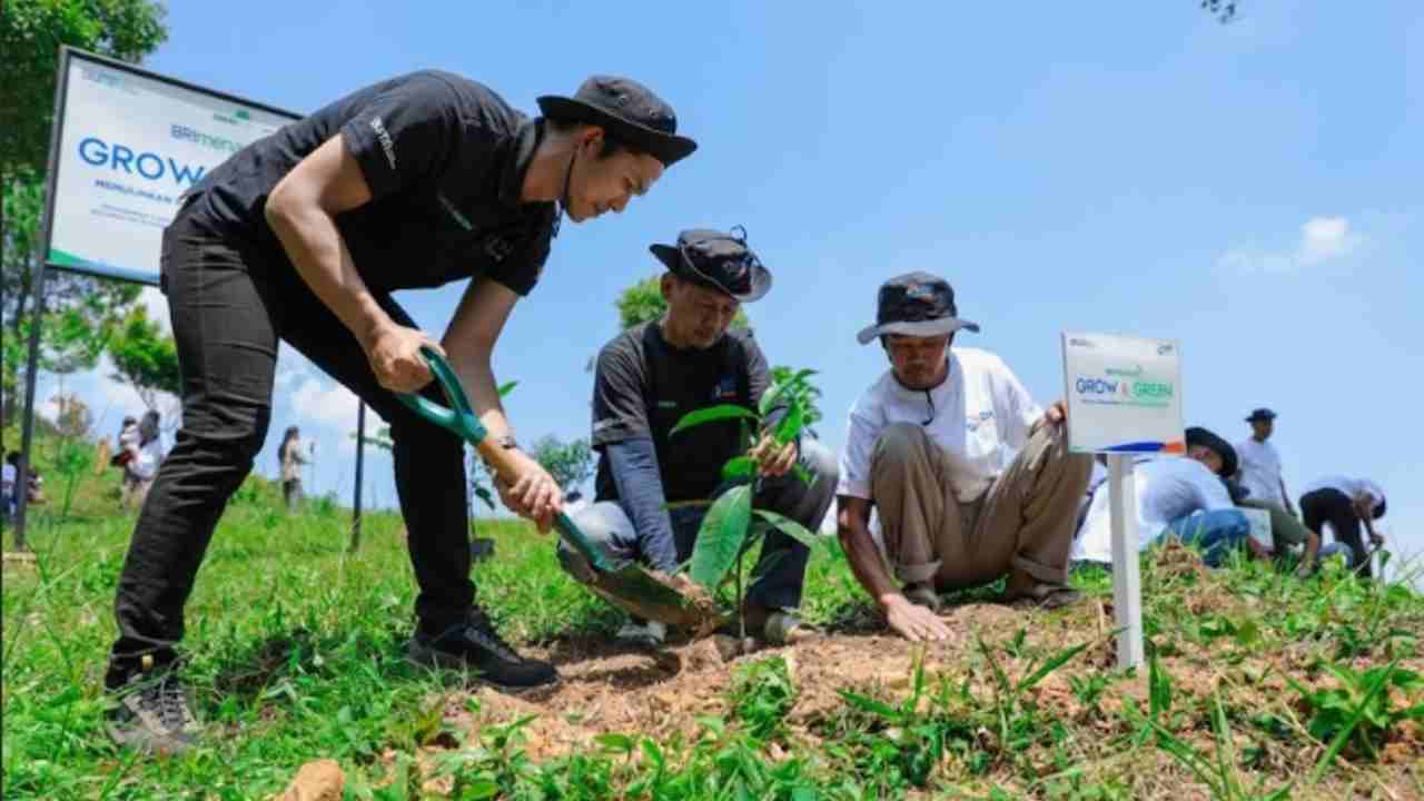 Bersama BRI Menanam-Grow & Green, Ini Aksi Nyata Kelompok Tani Selamatkan Lingkungan