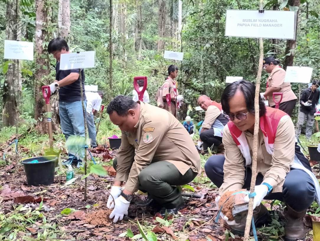 Inisiasi Tanam 1.000 Pohon di Taman Wisata Alam Sorong, Pertamina EP Papua Dapat Penghargaan