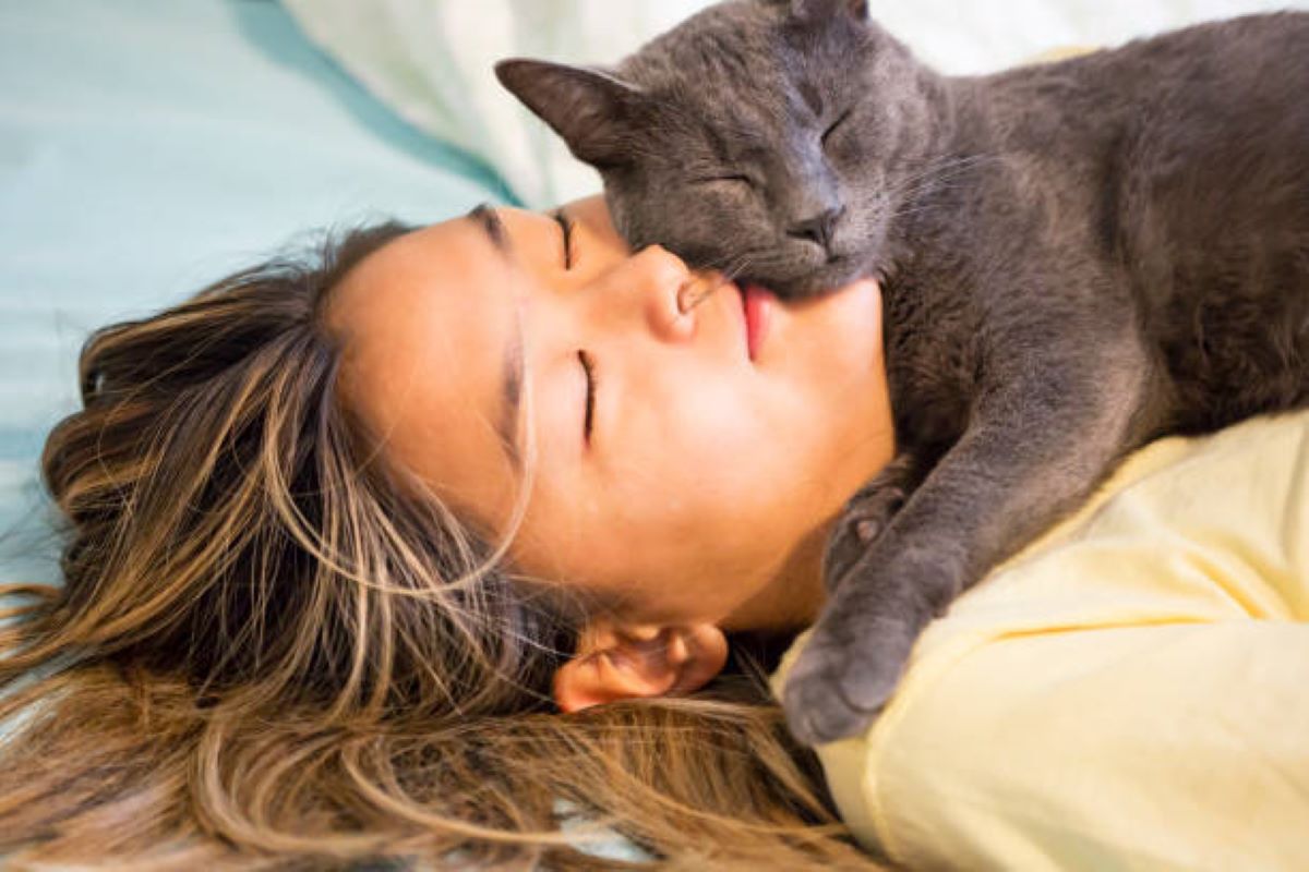 6 Tanda Kucing Menyukai Kamu, Nomor Terakhir Kasta Tertinggi Kebahagiaan