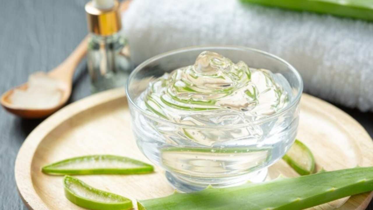 Kamu Centangan? Atasi dengan Lidah Buaya, Solusi Alami yang Mudah Didapat