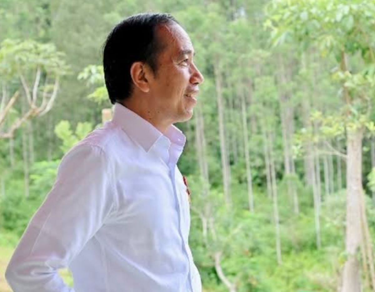 Presiden Jokowi Sebut Ada 13 Proyek Swasta Besar di IKN Kalimantan Timur, Ini Salah Satu Investornya