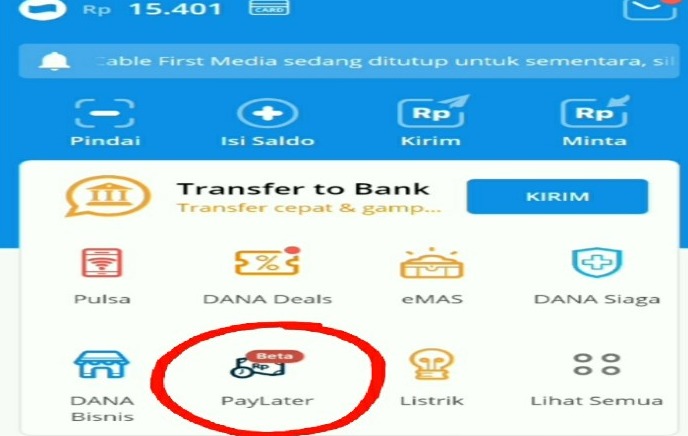 Cuma 5 Menit! Cara Mudah Aktifkan DANA Paylater Terbaru 2023, Bisa Pinjam Sampai Rp10 Juta