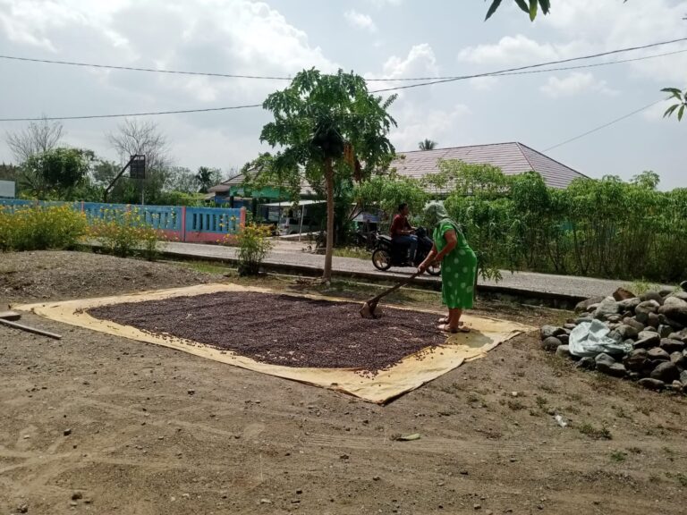 Jangan Dibuang! Ini Manfaat Kulit Buah Biji Kopi Untuk Perawatan Kulit