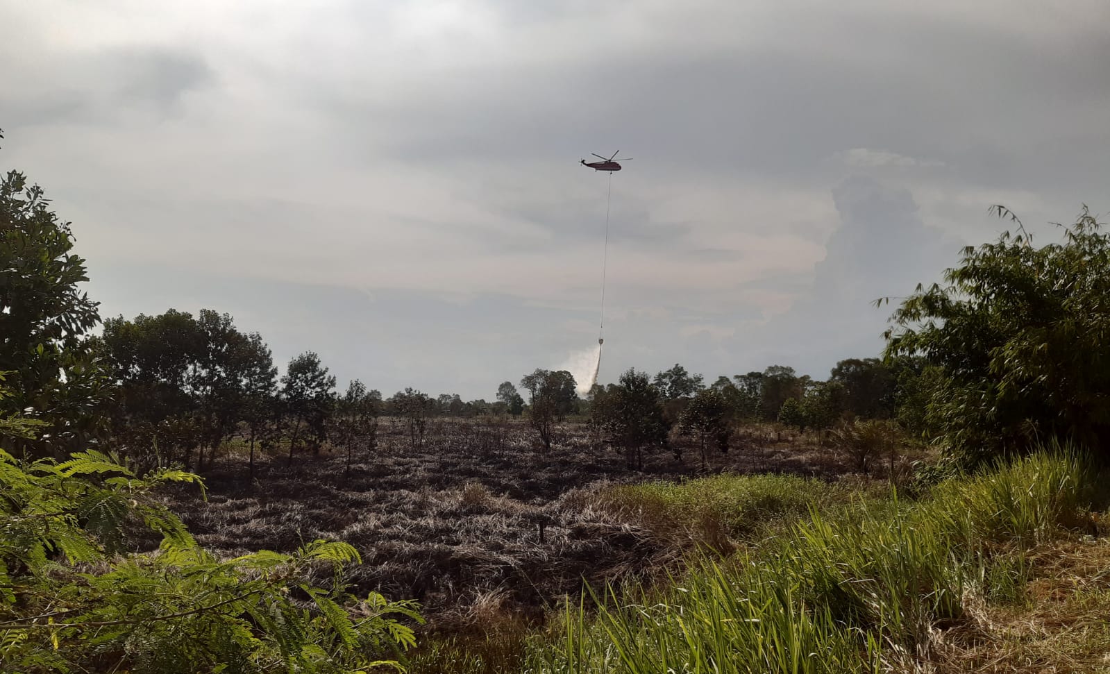 Diduga Pelaku Pembakaran Lahan di Sungai Rambutan Berhasil Diamankan