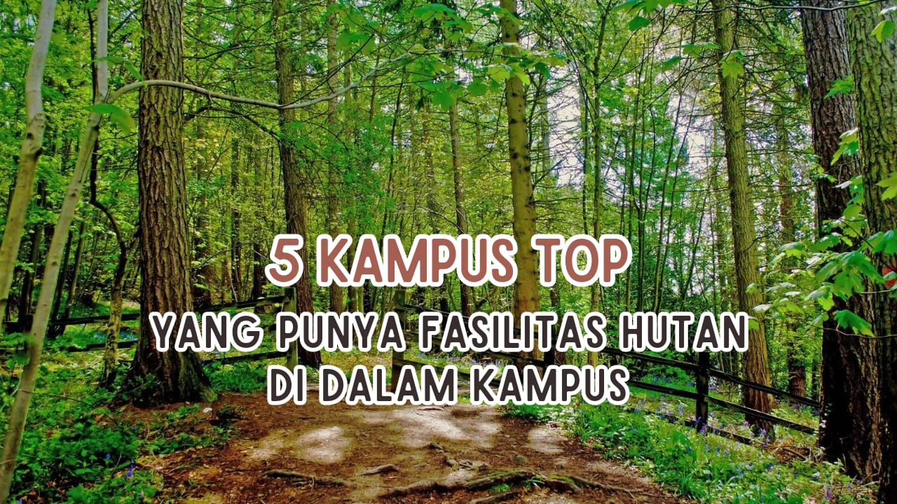 5 Kampus TOP Di Indonesia Yang Punya Fasilitas Hutan, Deretan PTN QS ...