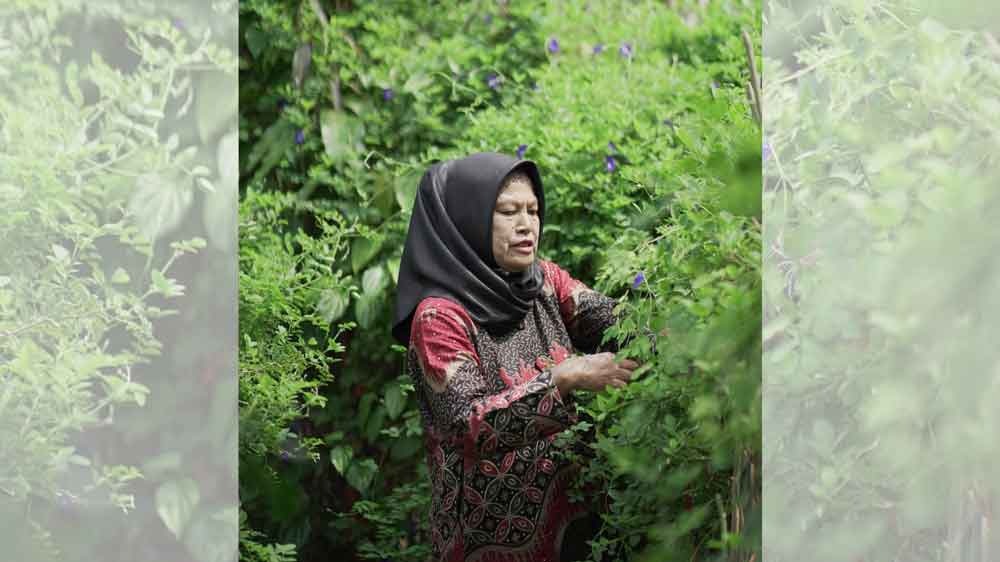 Aktif Kelola Taman Toga, Jamiah Local Hero Kilang Pertamina Plaju Raih Penghargaan dari Gubernur Sumsel