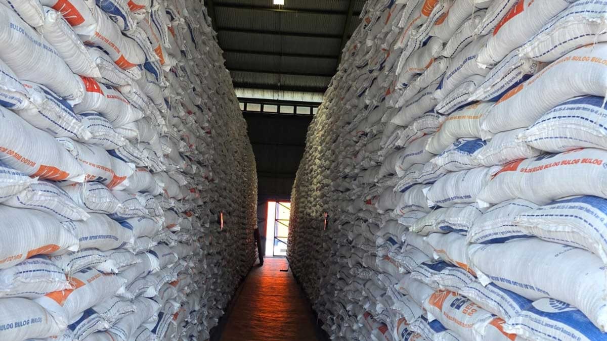 Bulog Sumsel Akan Serap gabah 81.700 ton Beras Pada Bulan April