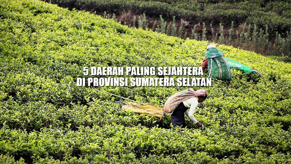 Tempat Berkumpulnya Para Sultan, Ini 5 Daerah Paling Sejahtera di Provinsi Sumatera Selatan