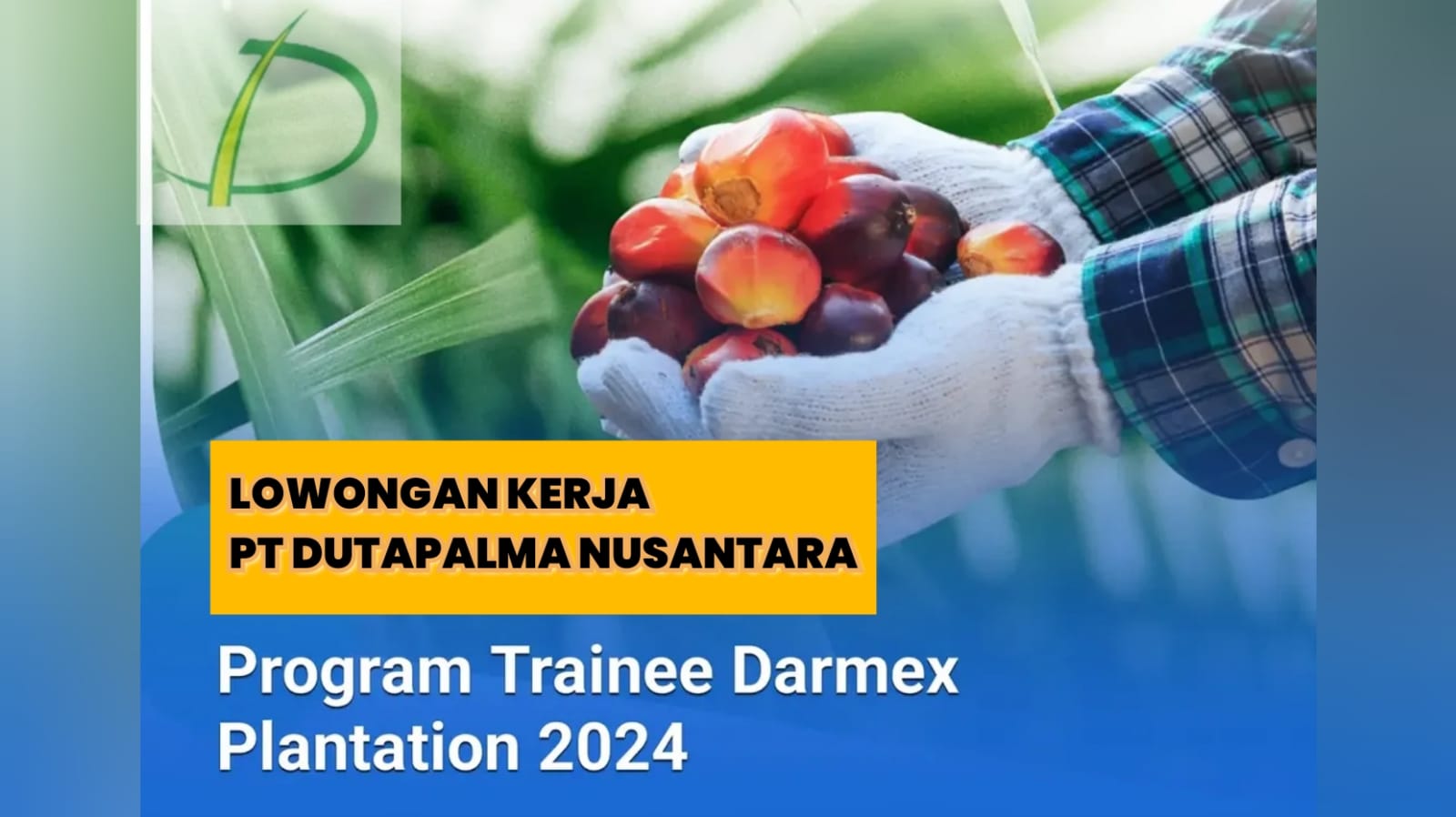 Lowongan Kerja PT Dutapalma Nusantara (Darmex Plantations) melalui Program Trainee Darmex Plantation 2024