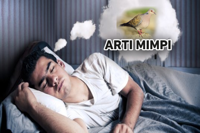 Pernah Alami Mimpi Burung Perkutut? Pertanda Apa, Yuk Simak Ulasannya Dibawah Ini