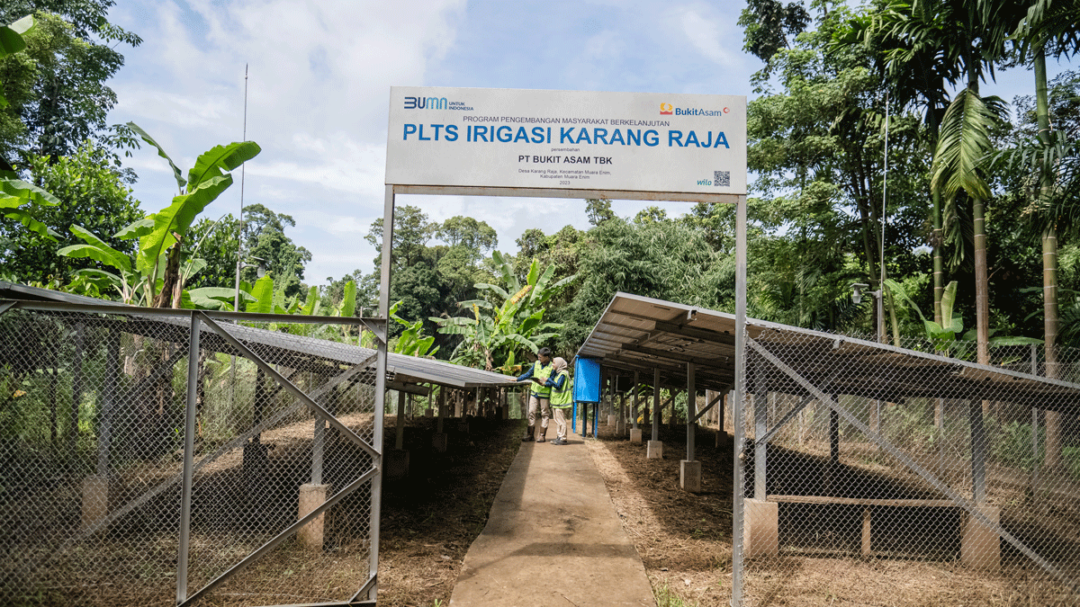 Dukung Aksi Iklim Berkelanjutan, PTBA Raih Penghargaan Pembina Desa Proklim 2025