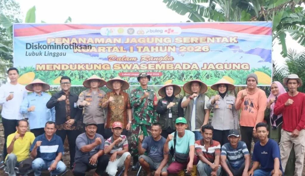 Dukung Program Swasembada Pangan Nasional, Kabulog Lubuklinggau Ikut Tanam Jagung di Batu Urip