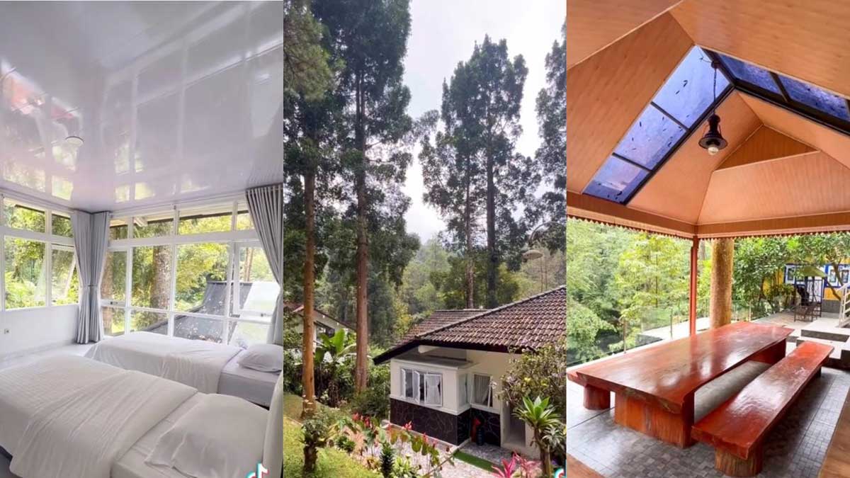 Uji Nyalimu! Ada Private Villa Unik di Bandung, Berada di Tengah Hutan, Seramkah?