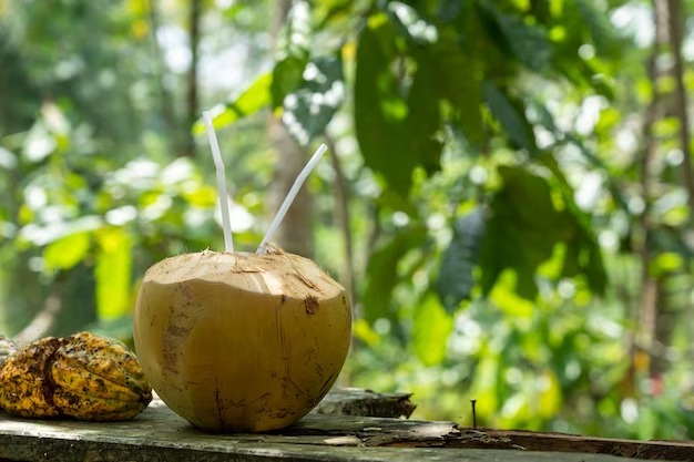 Siapa Sangka, Ini 9 Manfaat Air Kelapa untuk Ibu Hamil, Nomor 8 Bikin Kaget!