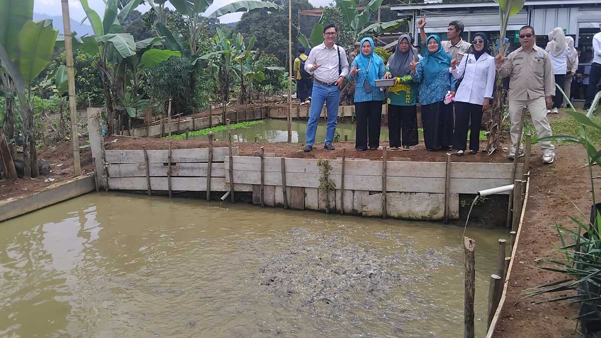 Tepat Sasaran! Begini Cara Pemdes Lesung Batu Ubah Kawasan 'Cuko Simpou' Jadi Sentral Pangan