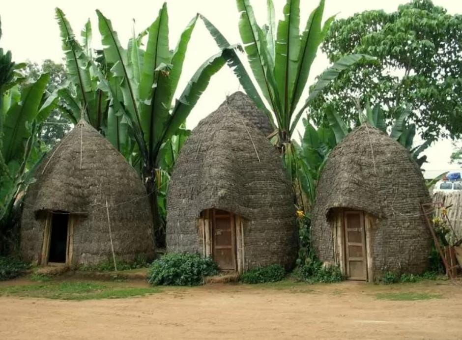 Rumah Bambu Mirip Sarang Lebah yang Tahan 80 Tahun Lamanya, Benarkah?