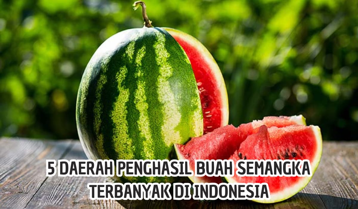 Semangka Jadi Simbol Dukung Palestina! Ini 5 Daerah Penghasil Buah Semangka Terbesar di Indonesia