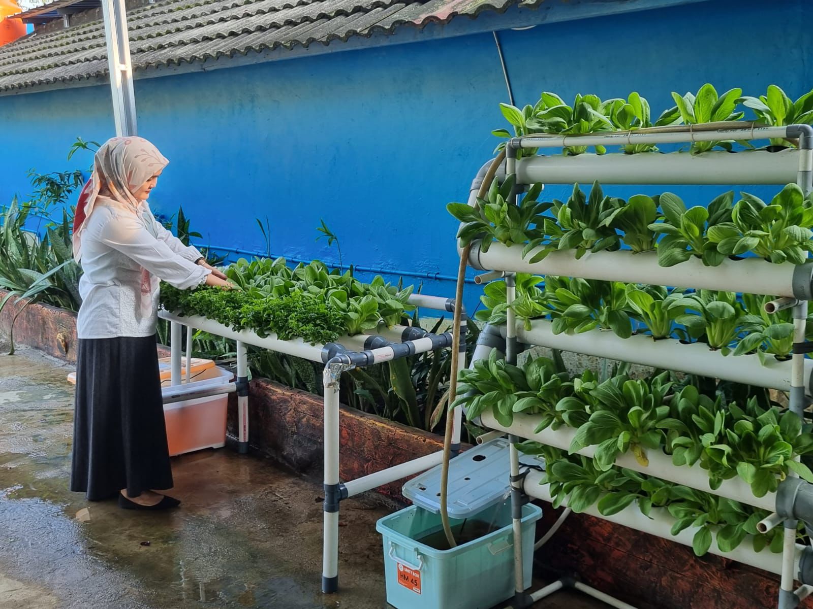 Pertamina Tingkatkan Literasi Energi Bersih melalui Sekolah Energi Berdikari di SMA Negeri 14 Palembang