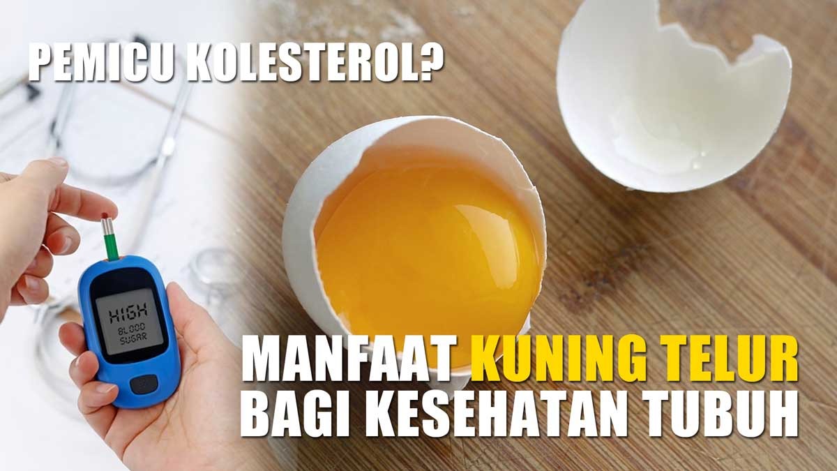 Dituding Pemicu Kolesterol, Inilah 12 Manfaat Kuning Telur Bagi Kesehatan Tubuh