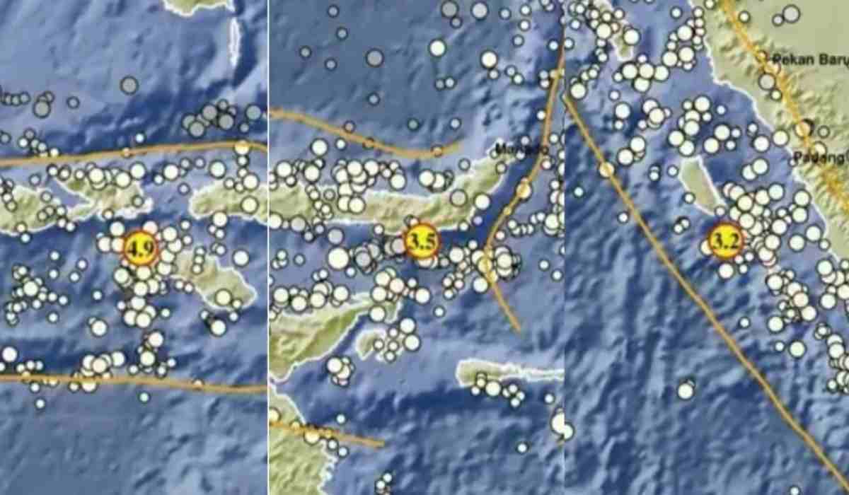 NTT Digoyang Gempa Hari Ini, Kekuatannya Capai 4.9 Magnitudo