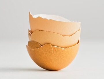 Cangkang Telur Bisa jadi Pupuk Alami, Begini Cara Mengolahnya