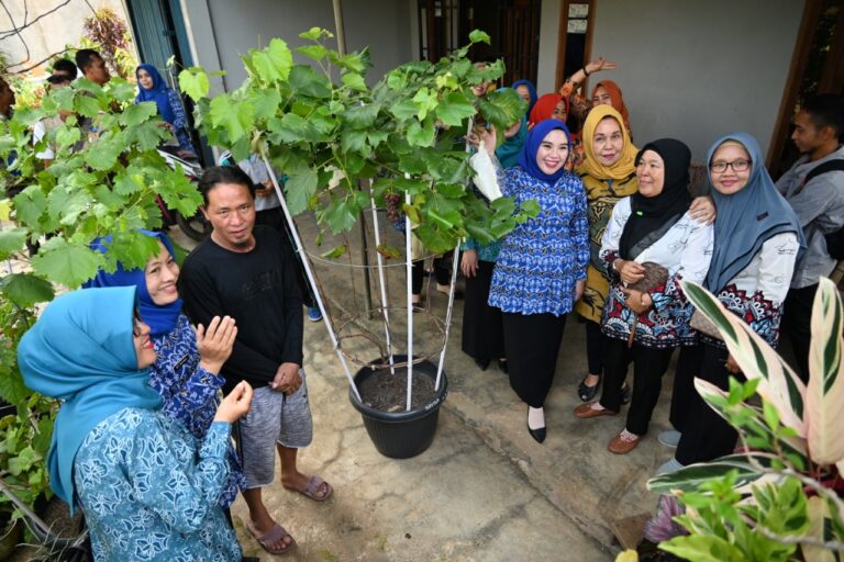 Ketua TP PKK Lahat Kagumi Petani di Jarai Mampu Budidaya 50 Jenis Buah Anggur