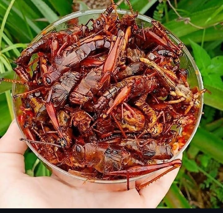 7 Makanan Aneh Tapi Unik yang Ada Di Indonesia, Mulai Dari Belalang Goreng Hingga Sate Kere, Udah Ngerasain?