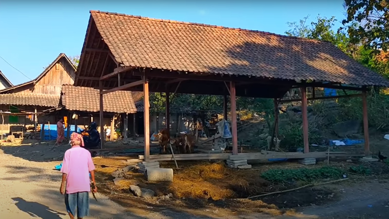 Berada di Tengah Hutan Tandus, Desa Terpencil di Kabupaten Bojonegoro: Hanya Dihuni 9 KK, Kehidupan Warganya?